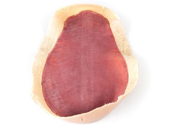 https://www.jayakelana.id/uploads/product/-123009-canine-abdominal-skin-62088d4b34b0fa2_cover.jpg