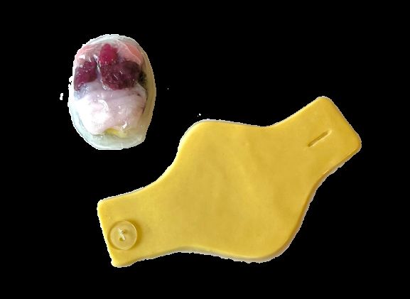 https://www.jayakelana.id/uploads/product/-124002-synfrog-organ-replacement-540287ba7704d12_cover.png