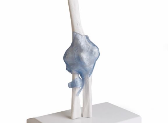 https://www.jayakelana.id/uploads/product/-4556-elbow-joint-with-74156c85790daab_cover.jpg