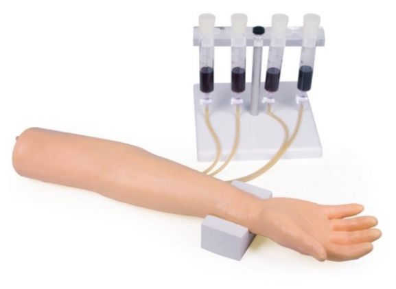 https://www.jayakelana.id/uploads/product/-7010-training-arm-for-3506854b5f4edd2_cover.jpg