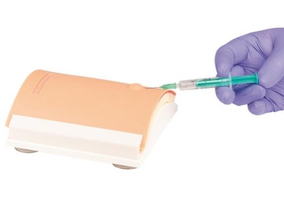 https://www.jayakelana.id/uploads/product/-7110-intradermal-injection-trainer-71040cd5a10e01d_cover.jpg