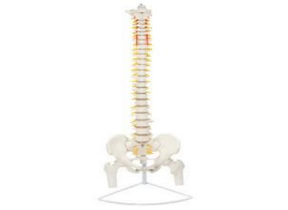 https://www.jayakelana.id/uploads/product/-a-104282-axis-scientific-premium-71496809e36f004_cover.png