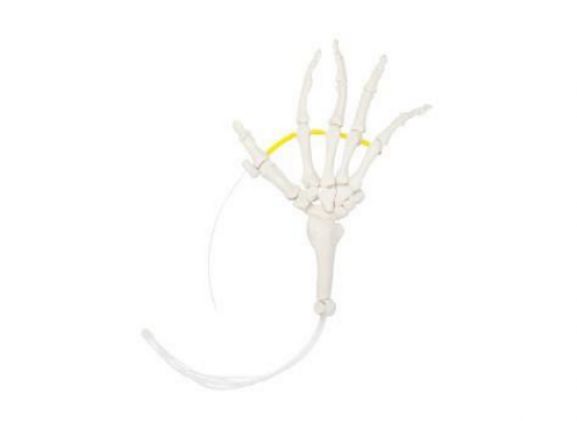 https://www.jayakelana.id/uploads/product/-a-105175-axis-scientific-hand-1717936b707b29d_cover.png