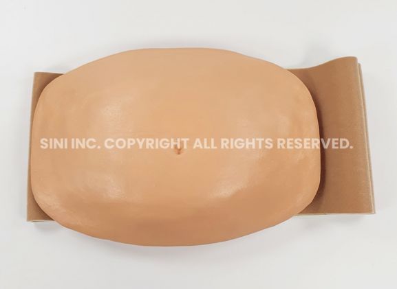 https://www.jayakelana.id/uploads/product/-a-aib-01-abdominal-injection-trainer-band-49765befd6f9521_cover.jpg