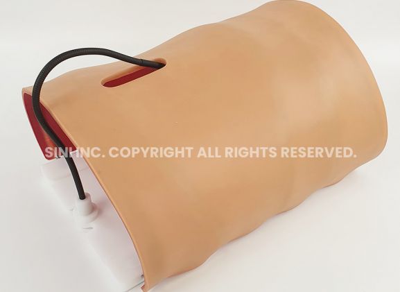 https://www.jayakelana.id/uploads/product/-a-lpl-01-laparoscopic-body-type-806753863c1ae61_cover.jpg