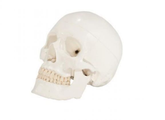 https://www.jayakelana.id/uploads/product/-axis-scientific-3-bagian-90081ceade1aabc_cover.png
