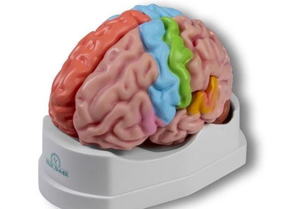 https://www.jayakelana.id/uploads/product/-c922-functional-and-regional-826369c034c0b46_cover.jpg
