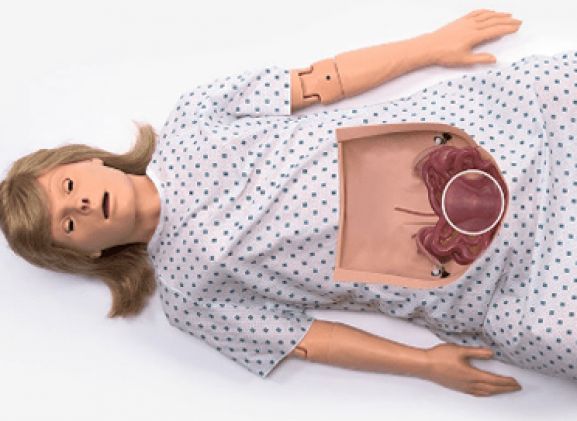 https://www.jayakelana.id/uploads/product/-chloe-bedah-simulator-2844379bfd63db9_cover.png