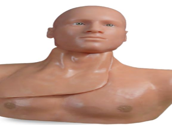 https://www.jayakelana.id/uploads/product/-clm-51-centralineman-system-with-48437cf9e25ace1_cover.png