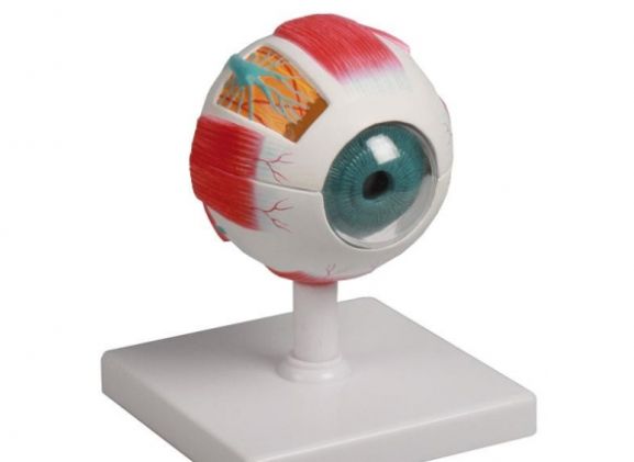 https://www.jayakelana.id/uploads/product/-f210-eye-model-4-922211e6e863c36_cover.jpg