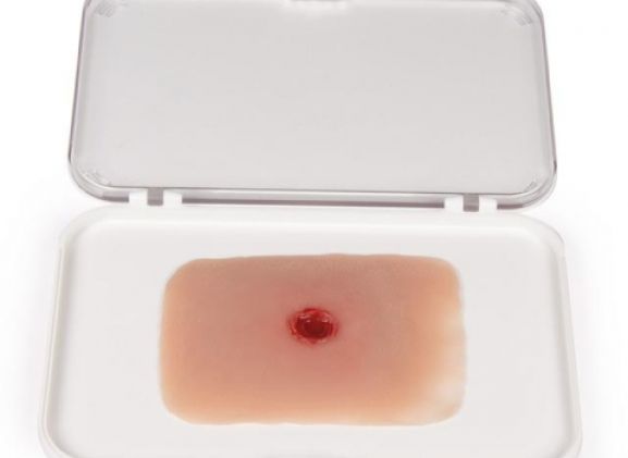 https://www.jayakelana.id/uploads/product/-nw010a-wound-moulage-bullet-23561aa381f358d_cover.jpg