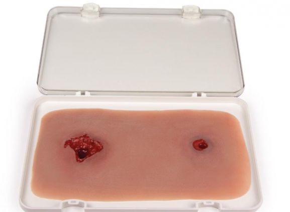 https://www.jayakelana.id/uploads/product/-nw105-wound-moulage-bullet-56845d560438f0b_cover.jpg