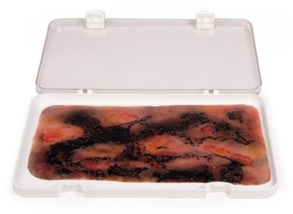 https://www.jayakelana.id/uploads/product/-nw107-wound-moulage-3rd-43228452ee46fd8_cover.jpg
