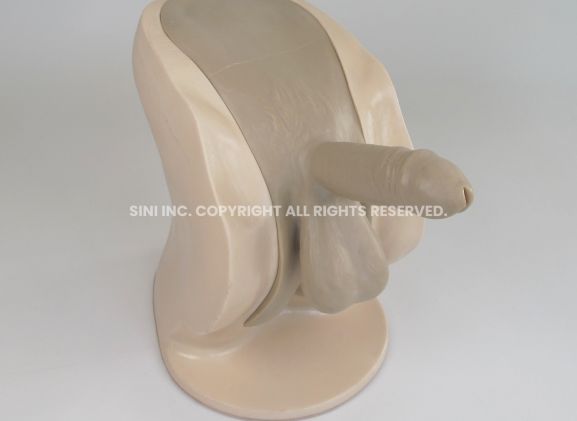 https://www.jayakelana.id/uploads/product/-p-ctb-01-male-catheterization-trainer-64673b17428a4c9_cover.jpg