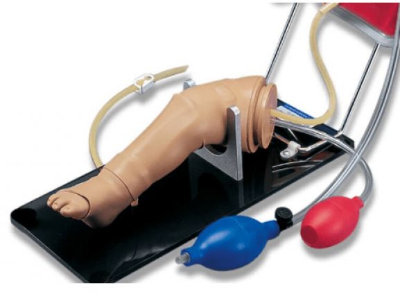 https://www.jayakelana.id/uploads/product/-pelatihan-keterampilan-kaki-infus-12621f8b87598c3_cover.png