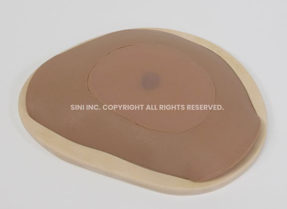 https://www.jayakelana.id/uploads/product/-s-abs-01-abscess-drainage-trainer-13394ae7b38e0ac_cover.jpg