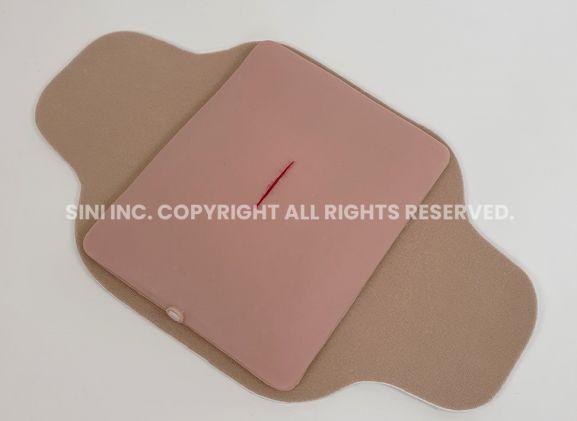https://www.jayakelana.id/uploads/product/-s-loa-01-local-anesthesia-trainer-3889203060fd044_cover.jpg