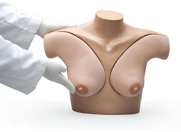 https://www.jayakelana.id/uploads/product/-s230-42-breast-examination-skills-4251411f61f6164_cover.jpg