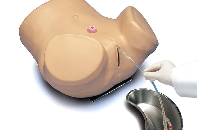 (S230.6) Advanced Patient Care Female Catheterization Skills Trainer