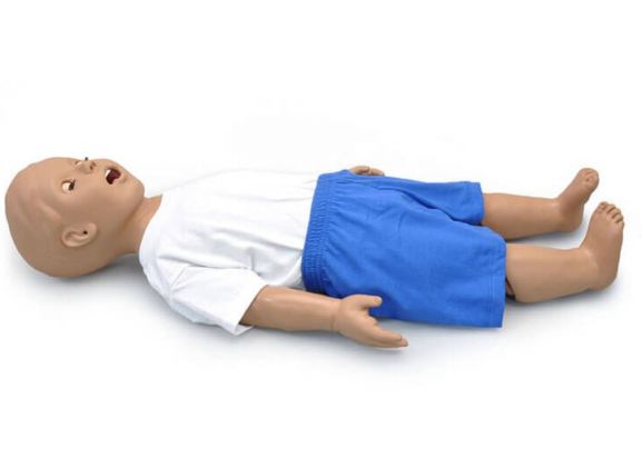 https://www.jayakelana.id/uploads/product/-s312-1-year-pediatric-airway-27755439fc333ca_cover.jpg