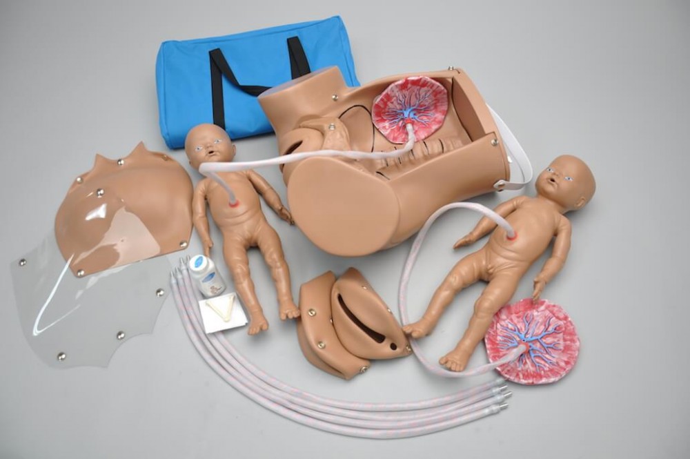 (S500) Obstetric Susie The Original Childbirth Skills Trainer