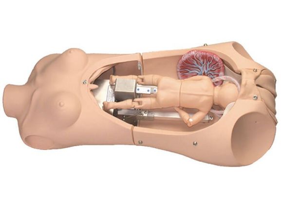 https://www.jayakelana.id/uploads/product/-s552-noelle-automatic-childbirth-25076fa9741d347_cover.jpg