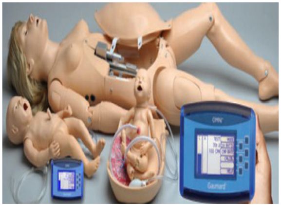https://www.jayakelana.id/uploads/product/-simulator-kelahiran-noelle-maternal-49754a90e4953eb_cover.png