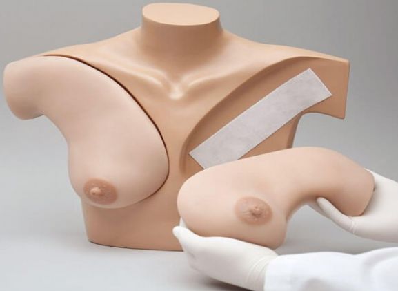 https://www.jayakelana.id/uploads/product/-simulator-palpasi-payudara-untuk-523755d8035fc44_cover.jpg