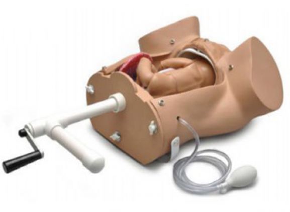 https://www.jayakelana.id/uploads/product/-torso-persalinan-kebidanan-s500-100--666818909835ad0_cover.png