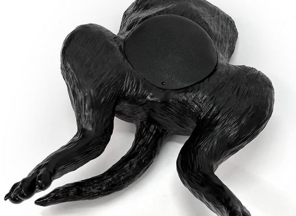 https://www.jayakelana.id/uploads/product/-vet4640-ultrasound-trainer-dog-130866960203f21_cover.jpeg