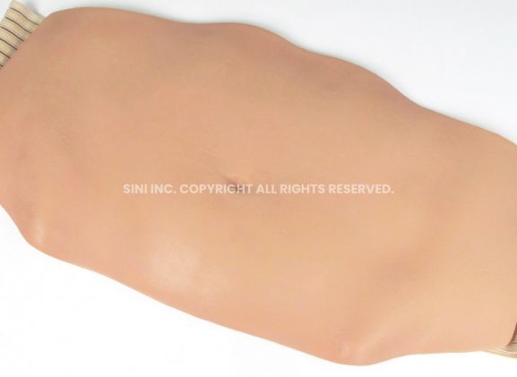 https://www.jayakelana.id/uploads/product/abdominal-injection-trainer-large-small-783640a4769aa0e_cover.jpg