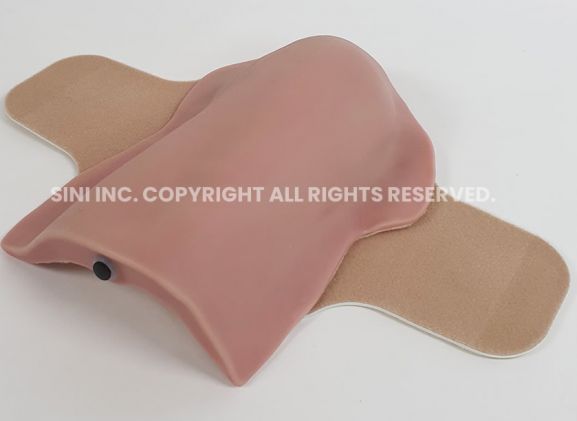 https://www.jayakelana.id/uploads/product/deltoid-intramuscular-injection-trainer-3618154088c3781_cover.jpg