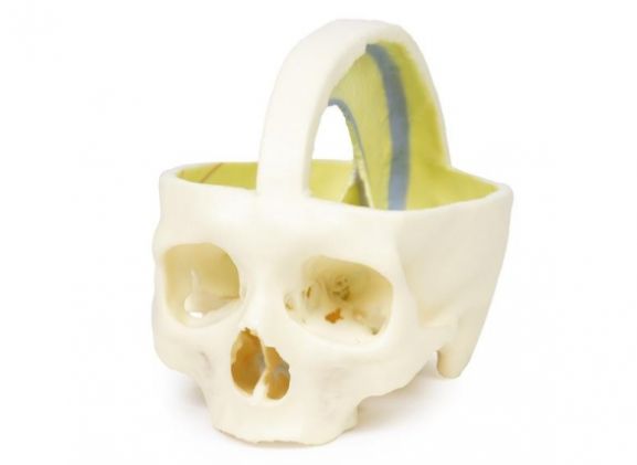 https://www.jayakelana.id/uploads/product/dural-skull-970661cea50abff_cover.jpg