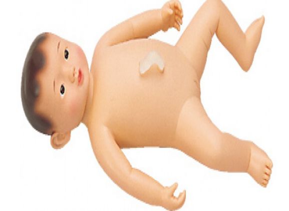 https://www.jayakelana.id/uploads/product/gadis-model-mandi-haruko--286618d7875da98_cover.png