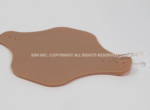 https://www.jayakelana.id/uploads/product/intradermal-injection-trainer-519593d4b767eb2_cover.jpg