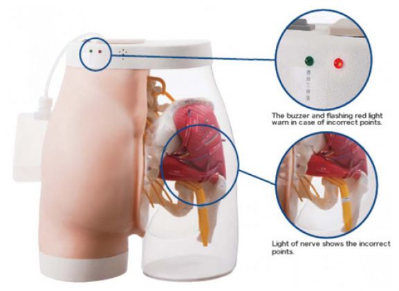 https://www.jayakelana.id/uploads/product/intramuscular-injection-model-of-17666f9d6a25123_cover.png