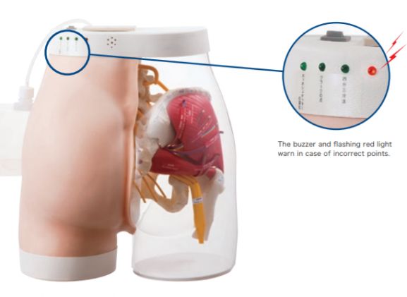 https://www.jayakelana.id/uploads/product/intramuscular-injection-model-of-5833681713cf65b_cover.png
