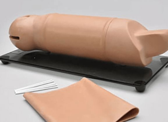 https://www.jayakelana.id/uploads/product/lengan-pelatihan-implan-reproduksi-37750f3be4d71c3_cover.png