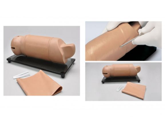 https://www.jayakelana.id/uploads/product/lengan-pelatihan-implan-reproduksi-66445a54815d81b_cover.png