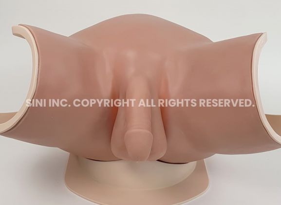 https://www.jayakelana.id/uploads/product/male-catheterization-trainer-a-353272851403198_cover.jpg