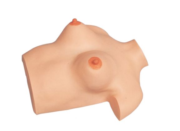 https://www.jayakelana.id/uploads/product/model-pijat-payudara-simulator-9749442cf66a1db_cover.png