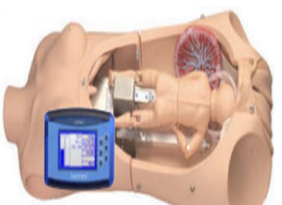 https://www.jayakelana.id/uploads/product/noelle-birthing-torso-dengan-83138c1b4c9c1d7_cover.png