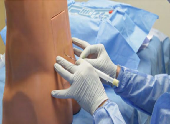 https://www.jayakelana.id/uploads/product/pelatih-epidural-lumbar-le-30--910026af868330e_cover.png