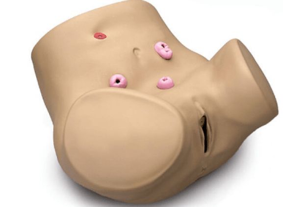 https://www.jayakelana.id/uploads/product/pelatih-keterampilan-ostomi-perawatan-275226f46bac0bd_cover.png