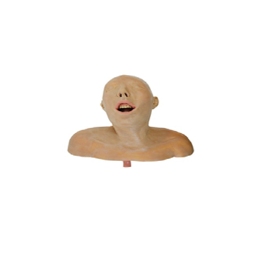 (160410) ADULT AIRWAY TRAINER 