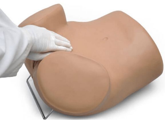 https://www.jayakelana.id/uploads/product/sima-gyn-aid-gynecologic-simulator-133601f6cfe360e_cover.png