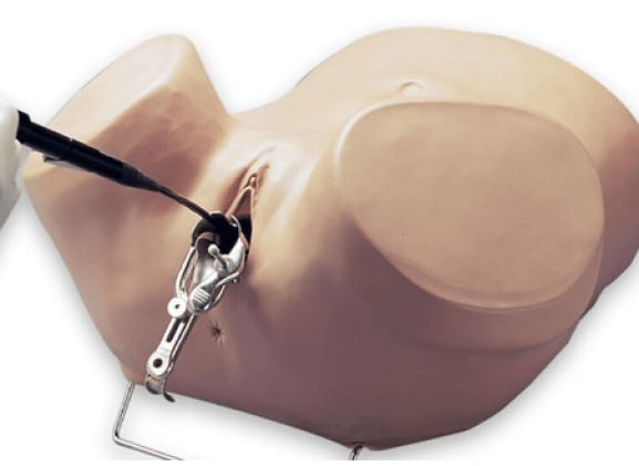 https://www.jayakelana.id/uploads/product/simulator-histeroskopi-s607--263359ce9a52b9f_cover.png