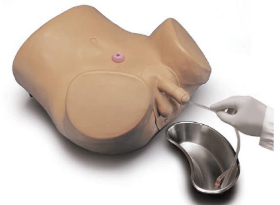 https://www.jayakelana.id/uploads/product/simulator-kateterisasi-pasien-lanjutan-640767d026ba3c8_cover.png