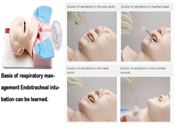 https://www.jayakelana.id/uploads/product/simulator-penghisap-sakamoto-m175--55471a09ea94b23_cover.png