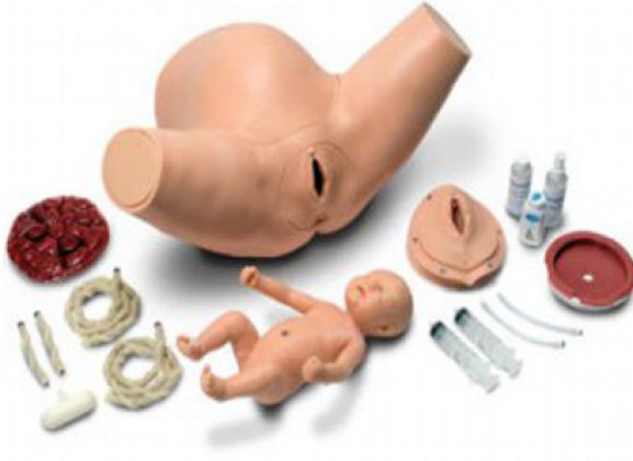 https://www.jayakelana.id/uploads/product/torso-pelatihan-anak-super-61269cfab35c19a_cover.png